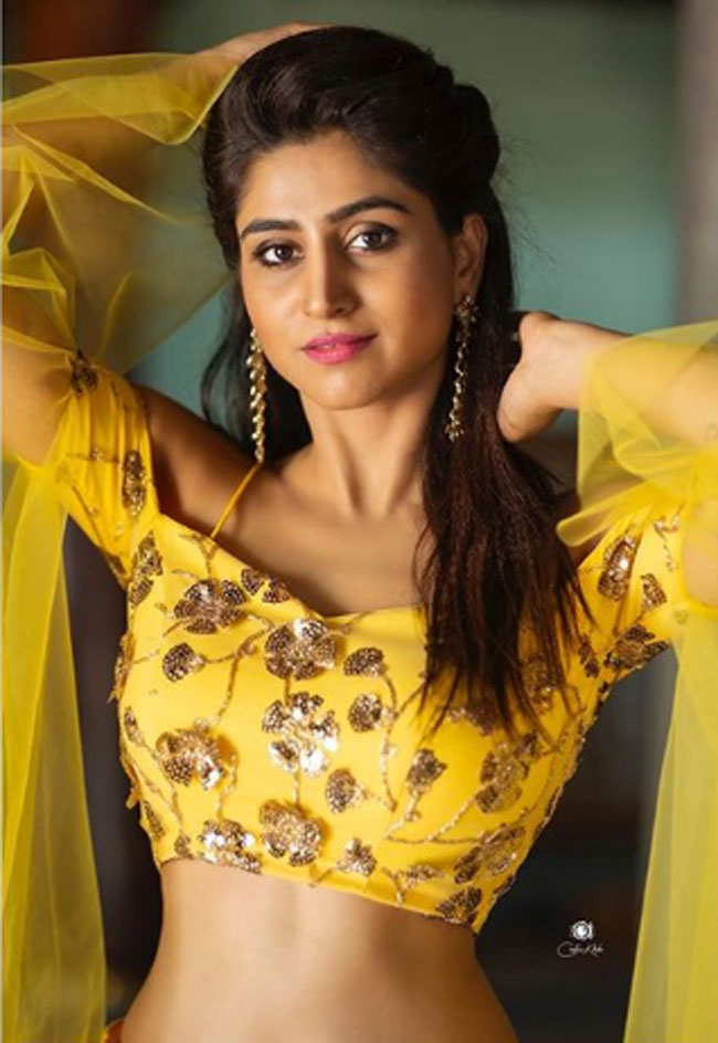 Varshini Sounderajan Latest Instagram Pics